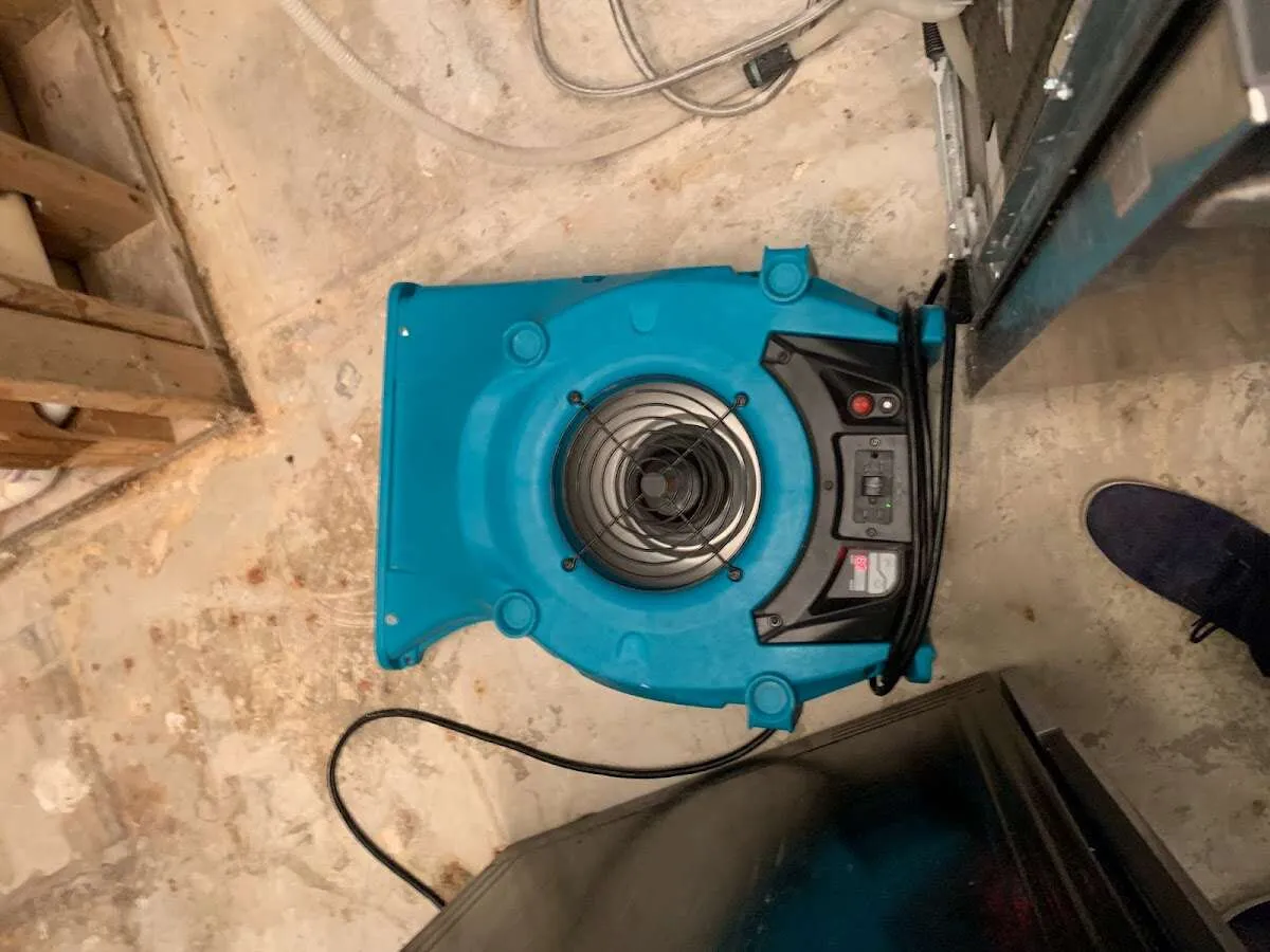 Air mover drying equipment for Mold Remediation & Removal in Long Grove